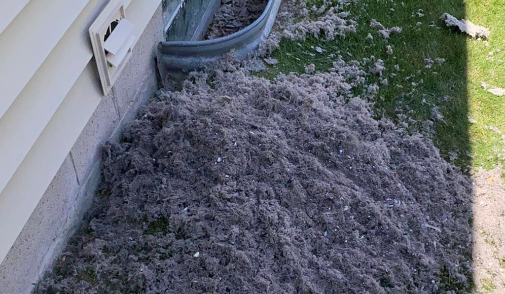 A large pile of lint that was pulled out of a dryer vent.