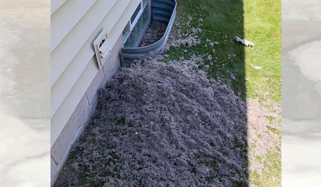 Whitefish Bay dryer vent cleaning on the exterior of the house. Ling pile on grass.