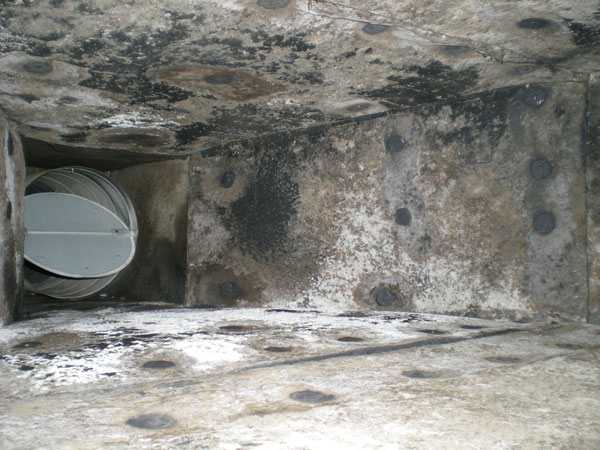 mold in air ducts