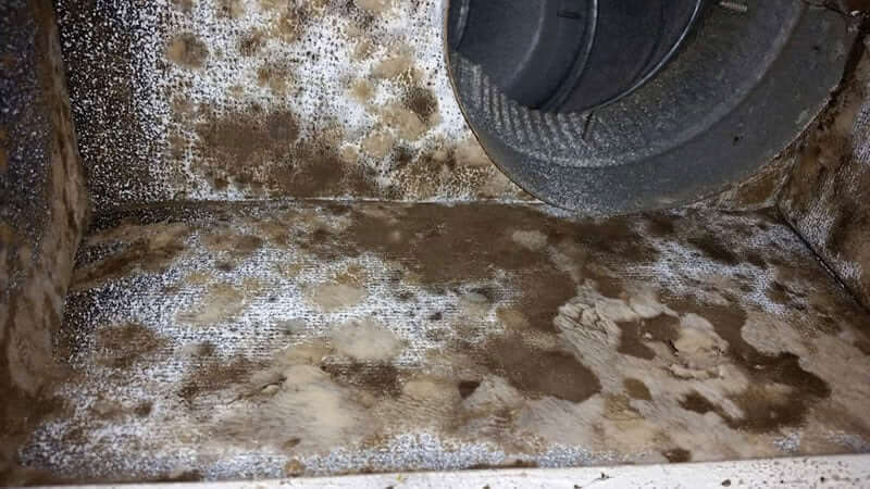 mold in air ducts